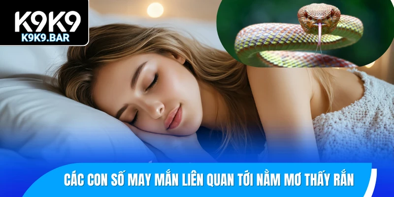 Nằm Mơ Thấy Rắn Có Điềm Gì? Con Số May Mắn Kèm Theo 3 Các con số may mắn liên quan tới chiêm bao nằm mơ thấy rắn