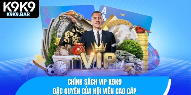 Chính sách VIP