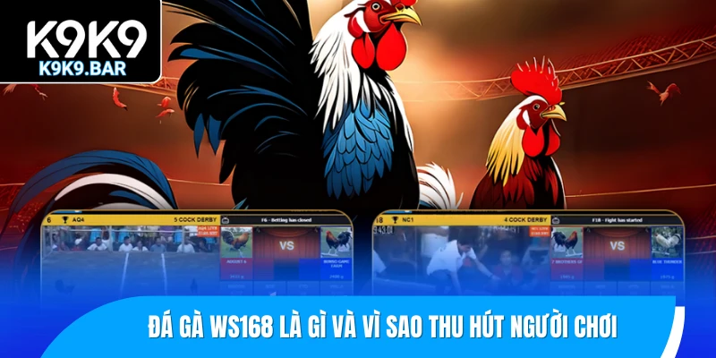 Đá Gà WS168 – Sảnh Cược Chọi Gà Thomo Bùng Nổ Mỗi Ngày 1 Đá gà WS168 là gì và vì sao thu hút người chơi