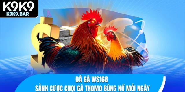 đá gà WS168