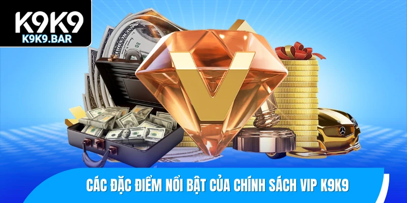 Chính Sách VIP K9K9 – Đặc Quyền Của Hội Viên Cao Cấp 1 Các đặc điểm nổi bật của chính sách VIP K9K9