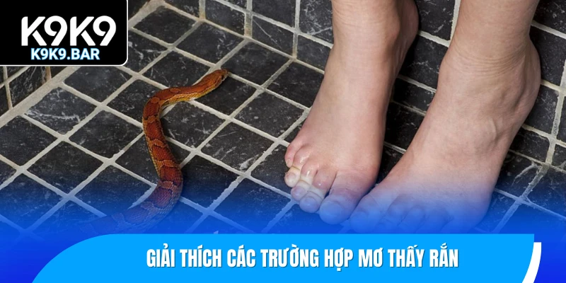 Nằm Mơ Thấy Rắn Có Điềm Gì? Con Số May Mắn Kèm Theo 2 Giải thích các trường hợp mơ thấy rắn