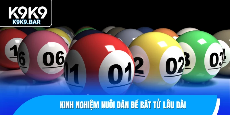 Dàn Đề Bất Tử K9K9 – Chiến Thuật Nuôi Đề Bền Vững Nhất Hiện Nay 3 Kinh nghiệm nuôi dàn đề bất tử lâu dài