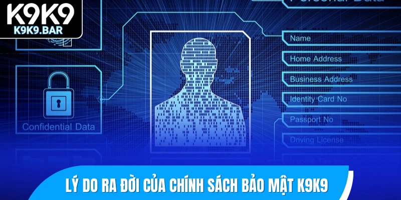 Chính Sách Bảo Mật K9K9 1 Lý do ra đời của chính sách bảo mật K9K9