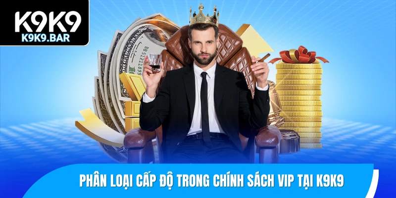 Chính Sách VIP K9K9 – Đặc Quyền Của Hội Viên Cao Cấp 2 Phân loại cấp độ trong chính sách VIP tại K9K9