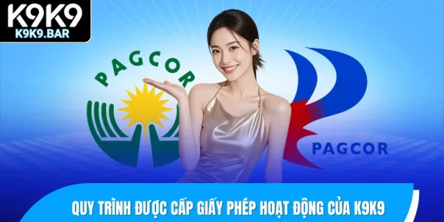 Quy trình được cấp giấy phép hoạt động của K9K9