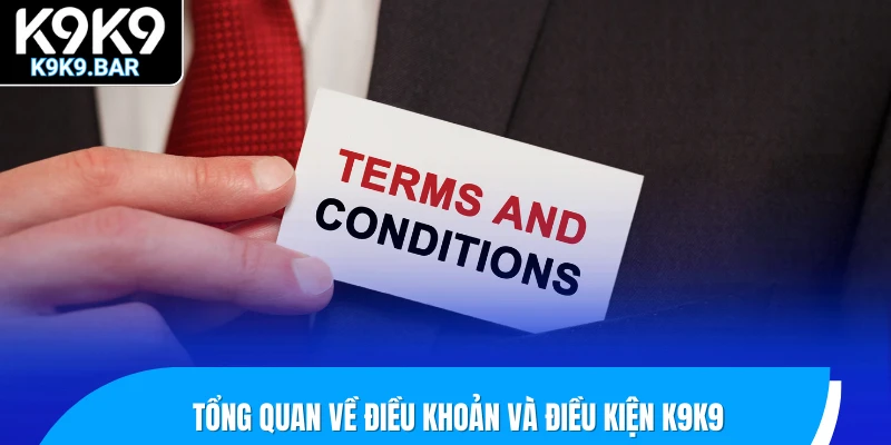 Tổng quan về điều khoản và điều kiện K9K9