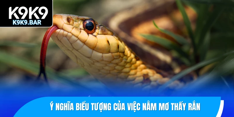 Nằm Mơ Thấy Rắn Có Điềm Gì? Con Số May Mắn Kèm Theo 1 Ý nghĩa biểu tượng của việc nằm mơ thấy rắn