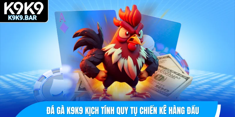 Đấu trường đá gà K9K9 kịch tính quy tụ chiến kê hàng đầu